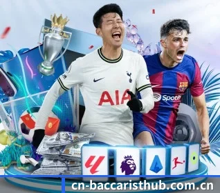 五大服务分区,信息按项目分类 | baccarat